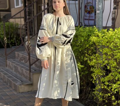 Вишита сукня Ластівки коротка(8517)МЧ
