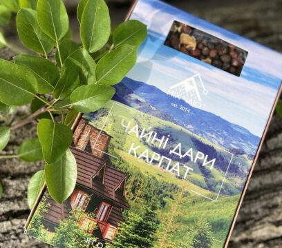 Набір чаю “Чайні дари карпат” (хатинка)