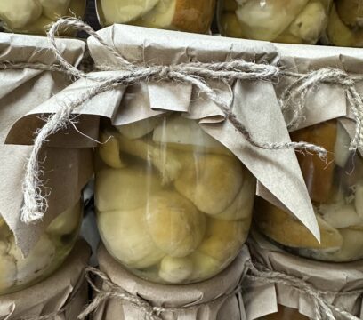 Мариновані Білі гриби
