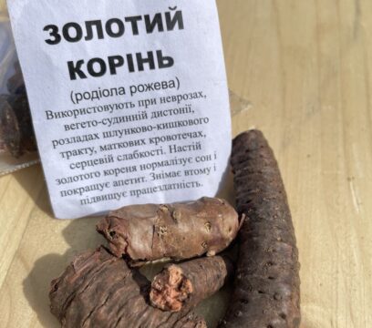 Золотий корінь