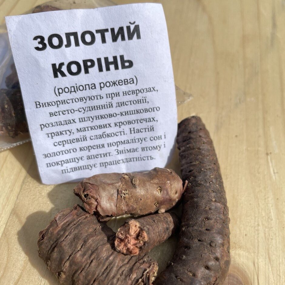 Золотий корінь